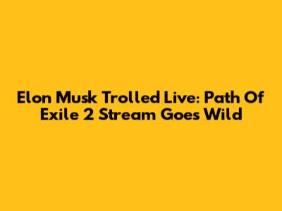 Elon Musk Trolled Live: Path Of Exile 2 Stream Goes Wild