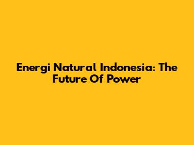 Energi Natural Indonesia: The Future Of Power