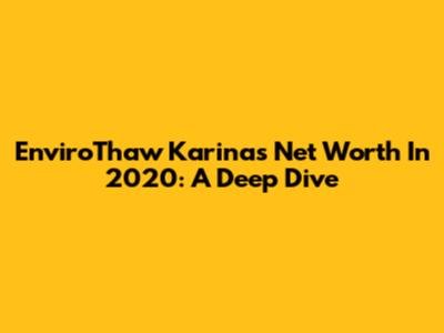 EnviroThaw Karina's Net Worth In 2020: A Deep Dive