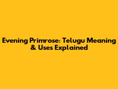 Evening Primrose: Telugu Meaning & Uses Explained