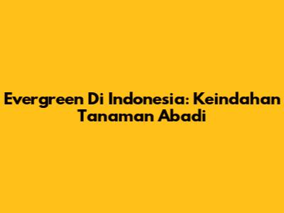Evergreen Di Indonesia: Keindahan Tanaman Abadi