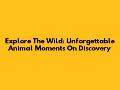 Explore The Wild: Unforgettable Animal Moments On Discovery
