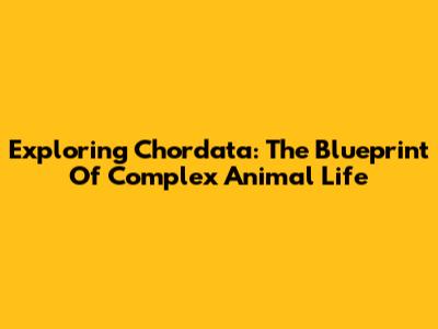 Exploring Chordata: The Blueprint Of Complex Animal Life
