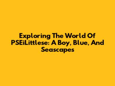 Exploring The World Of PSEiLittlese: A Boy, Blue, And Seascapes