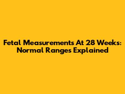 Fetal Measurements At 28 Weeks: Normal Ranges Explained