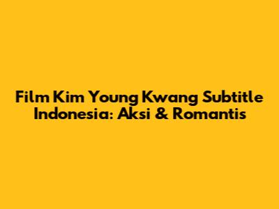 Film Kim Young Kwang Subtitle Indonesia: Aksi & Romantis
