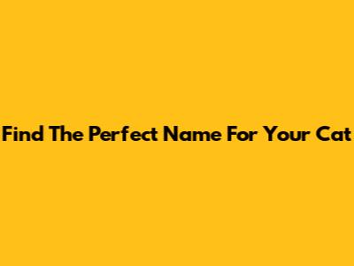 Find The Perfect Name For Your Cat
