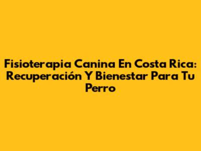 Fisioterapia Canina En Costa Rica: Recuperación Y Bienestar Para Tu Perro