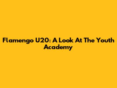 Flamengo U20: A Look At The Youth Academy