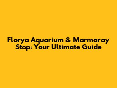 Florya Aquarium & Marmaray Stop: Your Ultimate Guide