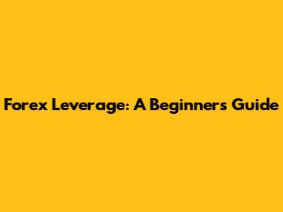 Forex Leverage: A Beginner's Guide