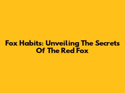 Fox Habits: Unveiling The Secrets Of The Red Fox