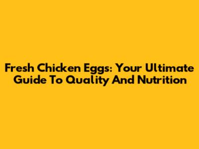Fresh Chicken Eggs: Your Ultimate Guide To Quality And Nutrition