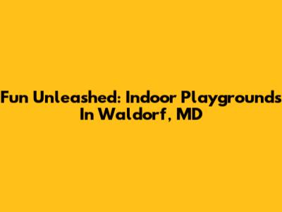 Fun Unleashed: Indoor Playgrounds In Waldorf, MD