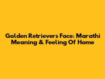 Golden Retriever's Face: Marathi Meaning & Feeling Of Home