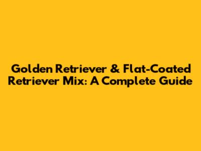 Golden Retriever & Flat-Coated Retriever Mix: A Complete Guide