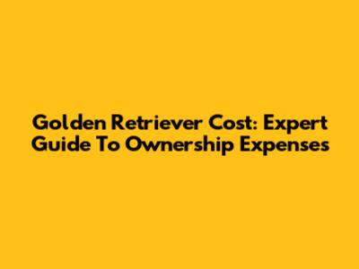 Golden Retriever Cost: Expert Guide To Ownership Expenses