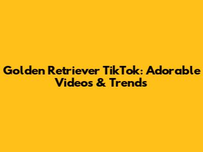 Golden Retriever TikTok: Adorable Videos & Trends