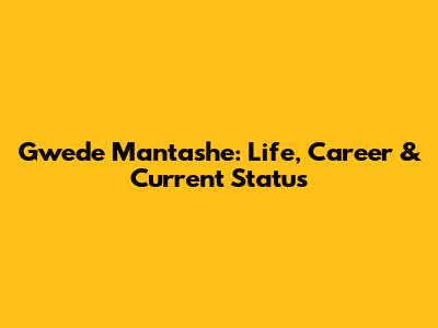 Gwede Mantashe: Life, Career & Current Status