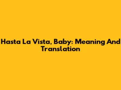 Hasta La Vista, Baby: Meaning And Translation