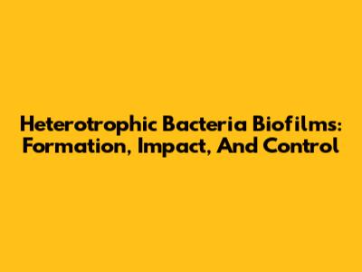 Heterotrophic Bacteria Biofilms: Formation, Impact, And Control