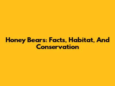 Honey Bears: Facts, Habitat, And Conservation