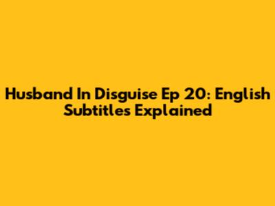 Husband In Disguise Ep 20: English Subtitles Explained