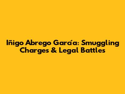 Iñigo Abrego García: Smuggling Charges & Legal Battles