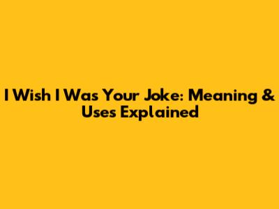 I Wish I Was Your Joke: Meaning & Uses Explained