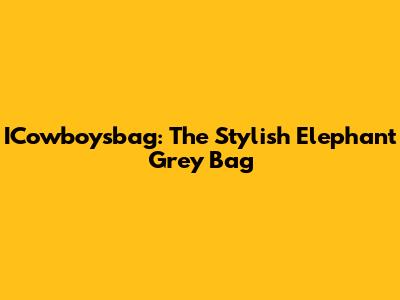 ICowboysbag: The Stylish Elephant Grey Bag