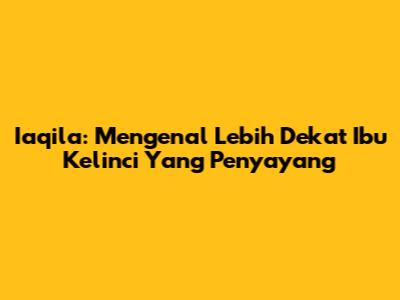Iaqila: Mengenal Lebih Dekat Ibu Kelinci Yang Penyayang