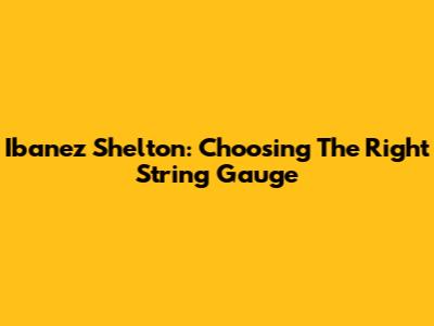 Ibanez Shelton: Choosing The Right String Gauge