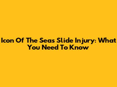 Icon Of The Seas Slide Injury: What You Need To Know