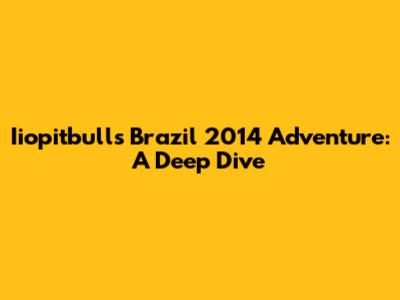 Iiopitbull's Brazil 2014 Adventure: A Deep Dive