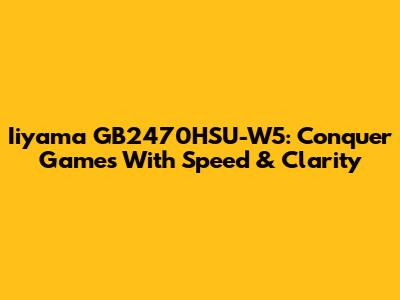 Iiyama GB2470HSU-W5: Conquer Games With Speed & Clarity
