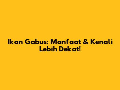 Ikan Gabus: Manfaat & Kenali Lebih Dekat!