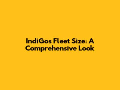 IndiGo's Fleet Size: A Comprehensive Look