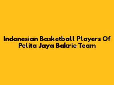 Indonesian Basketball Players Of Pelita Jaya Bakrie Team