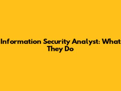 Information Security Analyst: What They Do