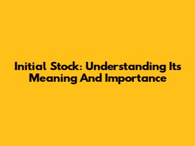 Initial Stock: Understanding Its Meaning And Importance
