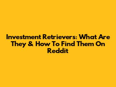 Investment Retrievers: What Are They & How To Find Them On Reddit