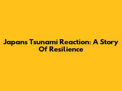 Japan's Tsunami Reaction: A Story Of Resilience