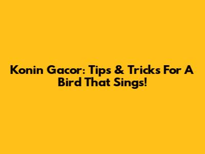 Konin Gacor: Tips & Tricks For A Bird That Sings!