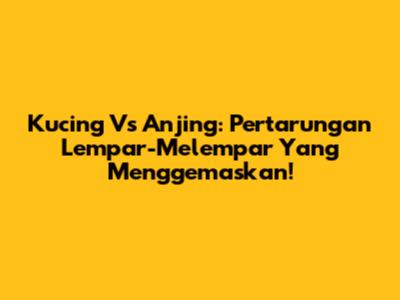 Kucing Vs Anjing: Pertarungan Lempar-Melempar Yang Menggemaskan!