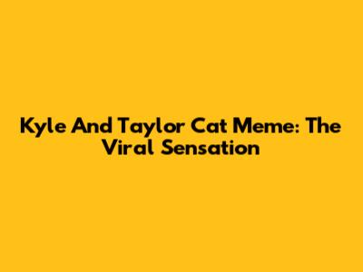 Kyle And Taylor Cat Meme: The Viral Sensation