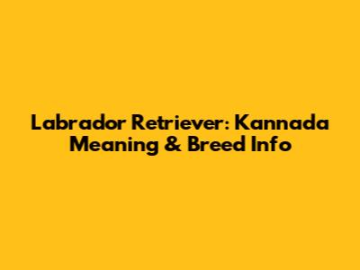 Labrador Retriever: Kannada Meaning & Breed Info