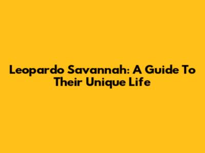 Leopardo Savannah: A Guide To Their Unique Life