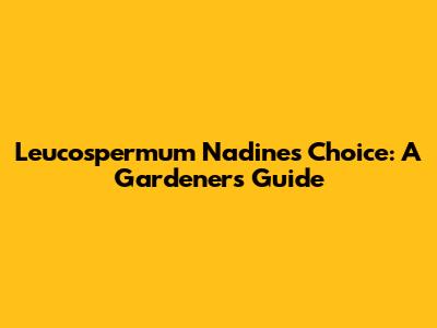 Leucospermum Nadine's Choice: A Gardener's Guide