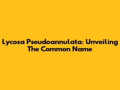 Lycosa Pseudoannulata: Unveiling The Common Name