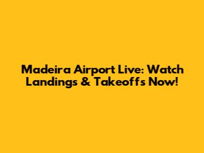 Madeira Airport Live: Watch Landings & Takeoffs Now!